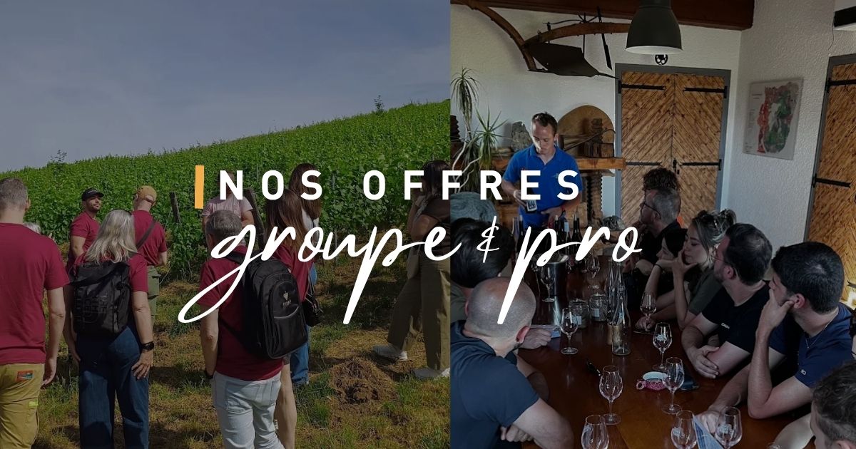 Nos offres groupes & professionnels — Domaine Les Roches Bleues (PDF)